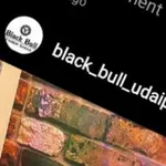 Business logo of Blackbull kbull