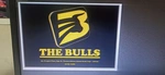 Business logo of The bulls