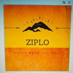 Business logo of Ziplo pvt ltd