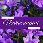 Business logo of Navarangini Collection