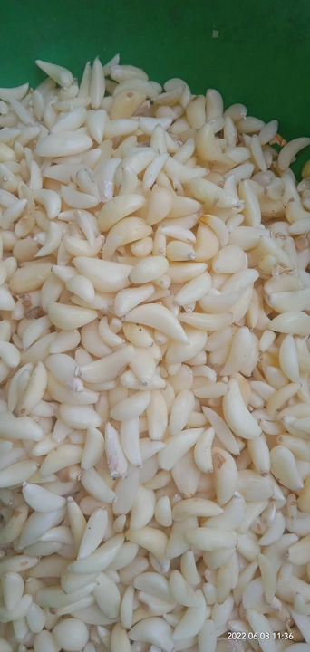 Chila lehson. Peeled garlic uploaded by Mahek agri industries on 6/8/2022