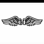 Business logo of GT enterprises 