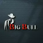 Business logo of Big bull fashion garage