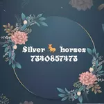 Business logo of Silver 🐴 horses