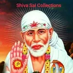 Business logo of Shiva Sai Collections