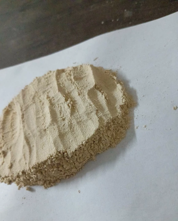 Dehydrated Garlic Powder  uploaded by ZK FOODS & SPICES  on 6/15/2022