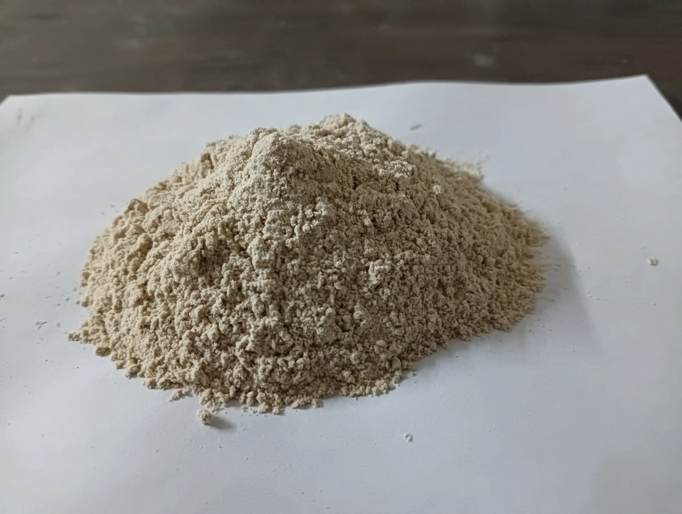 Dehydrated Garlic Powder  uploaded by business on 6/15/2022