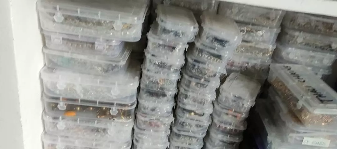 Warehouse Store Images of ST collections
