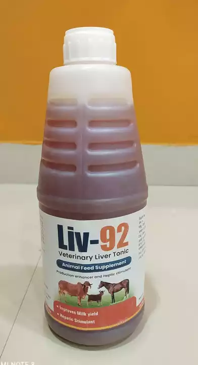 Liv92 uploaded by business on 6/18/2022