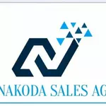 Business logo of New Nakoda sales Agency