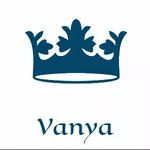 Business logo of Vanya Enterprises