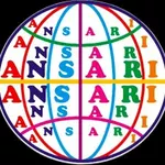 Business logo of Ansari Online Shop