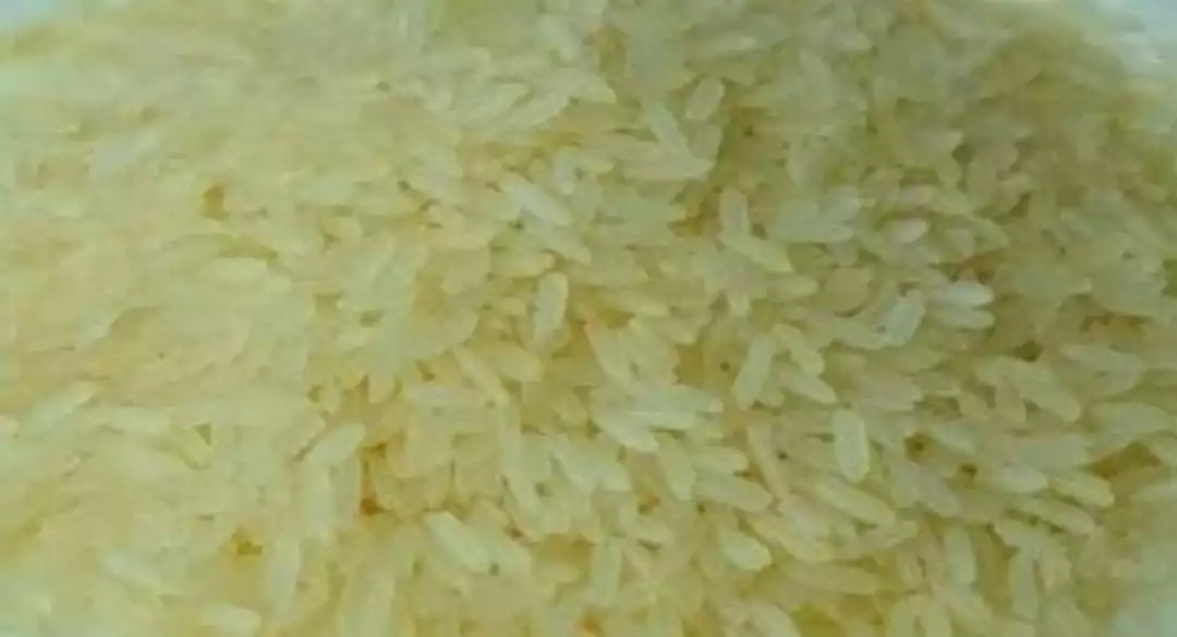 Steam rice  uploaded by business on 6/22/2022