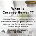 Business logo of Cocovey