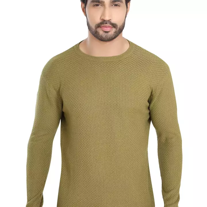 BLOWSTUD Men's Regular fit pullover cotton casual Round Neck Full sleeve Knitting T-shirt for men uploaded by business on 6/26/2022