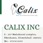Business logo of Calix inc