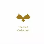 Business logo of thebestcollection