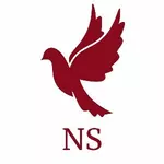 Business logo of NS Trends