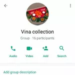 Business logo of Vina collection