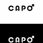 Business logo of Capo fabrics