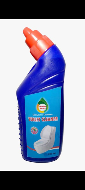 Toilet Cleaner 250 ml uploaded by A R ENTERPRISES on 7/3/2022