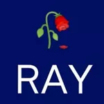 Business logo of Ray Creation