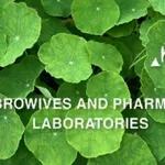 Business logo of Browives And Pharmer Laboratories