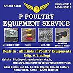 Business logo of P poultry equipment service 