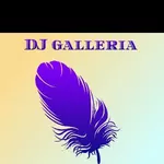 Business logo of DJ galleria