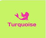 Business logo of Turquoise 