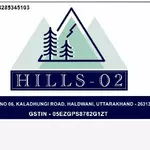Business logo of Hills-02