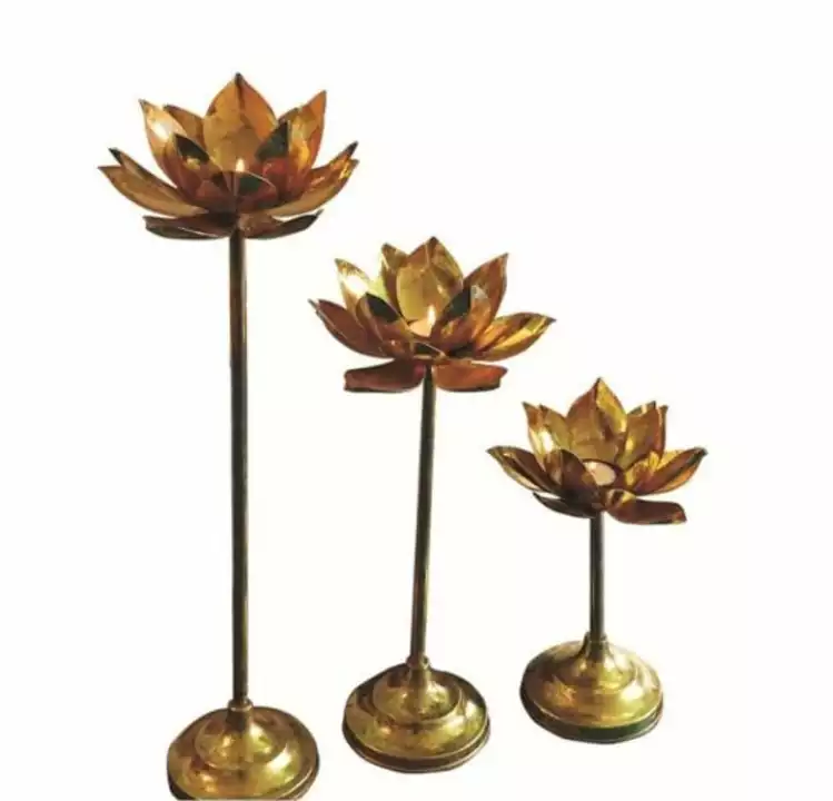 Lotus Tlight with stand set uploaded by business on 7/12/2022