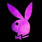 Business logo of Bunny collocation
