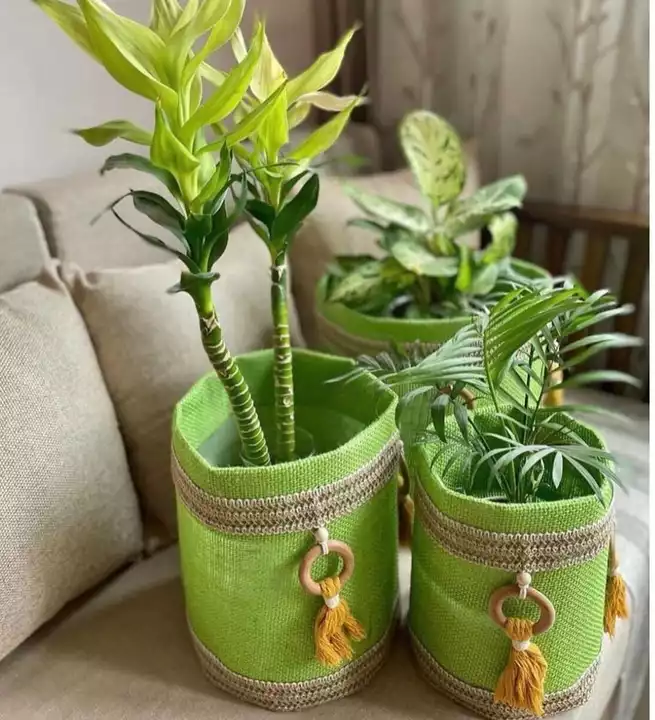 Handcrafted jute planters uploaded by Crafty Creation on 7/15/2022