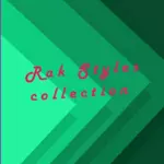 Business logo of Rak Styles collection