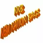 Business logo of NEW NATION BAGS