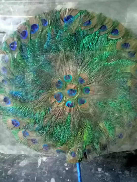 Peacock feather pankha uploaded by Panchugopal poshakalaya on 7/19/2022