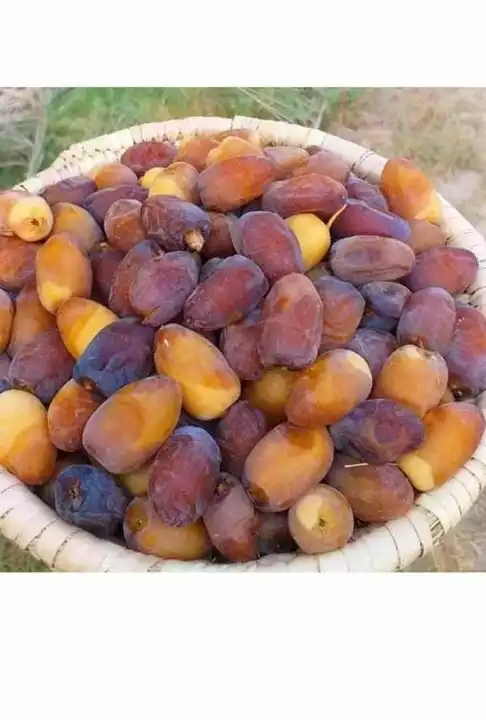 Fresh dates July crop uploaded by business on 7/19/2022