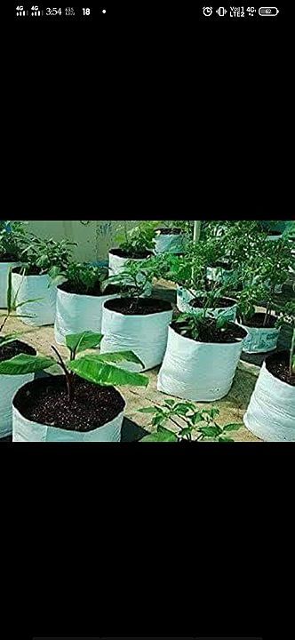 Grow bag uploaded by business on 11/16/2020