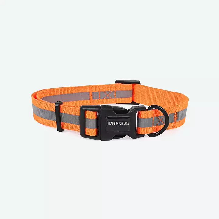 Post image I want 50 pieces of Reflective Dog collar  .