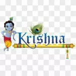 Business logo of Diksha's Prime Collection