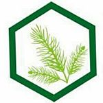Business logo of Uttaranchal terpene products pvt Lt