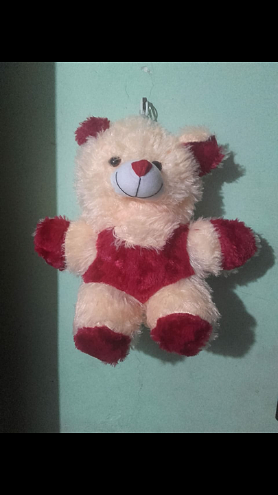 Raja teddy uploaded by business on 11/16/2020