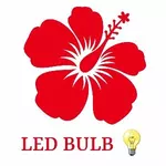 Business logo of Saileela lED bulb chincholi