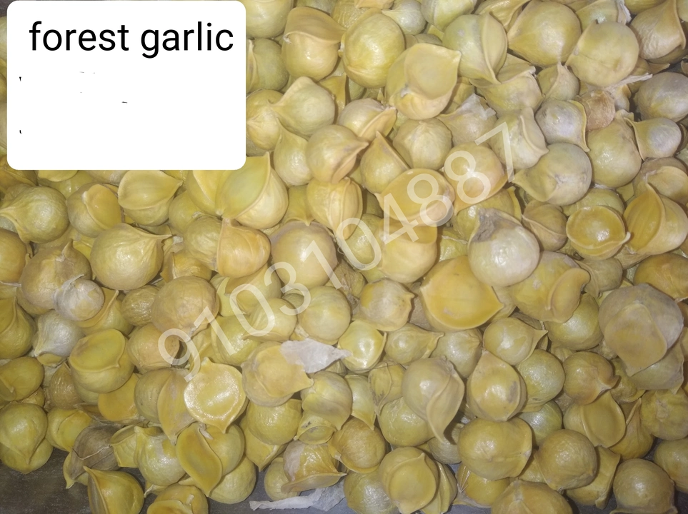 Forest garlic uploaded by Kashmiri dryfruit on 7/24/2022