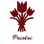 Business logo of Prishri clothes