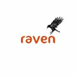 Business logo of raven garments