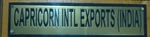 Business logo of Capricorn international export india