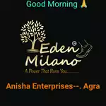 Business logo of Anisha Enterprise's Agra
