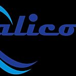 Business logo of Qualicorp Services 